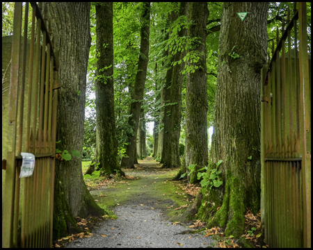 Tor zum Friedhof und Lindenallee