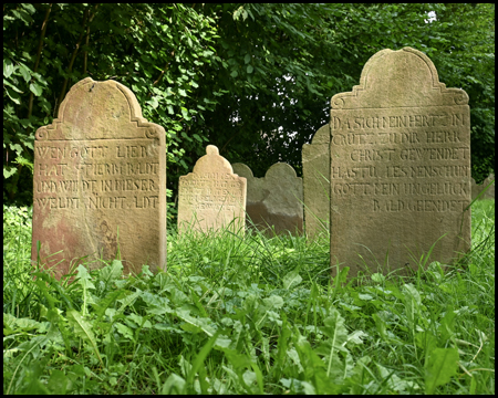 Alte Grabsteine in einer Wiese