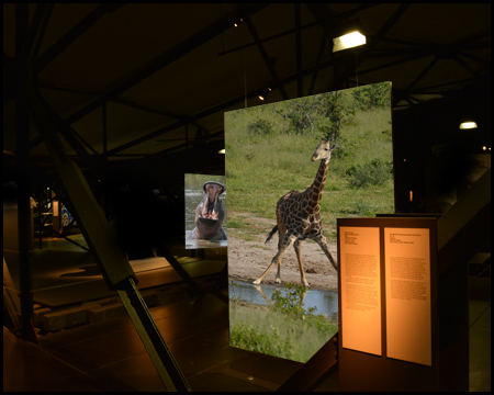 Ausstellung im Gasometer