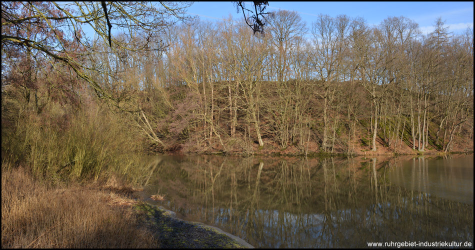 Bäume spiegeln sich in der glatten Wasseroberfläche: Blick von Süden