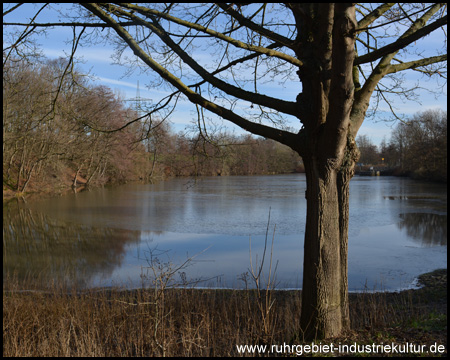 Stausee von der Westseite gesehen