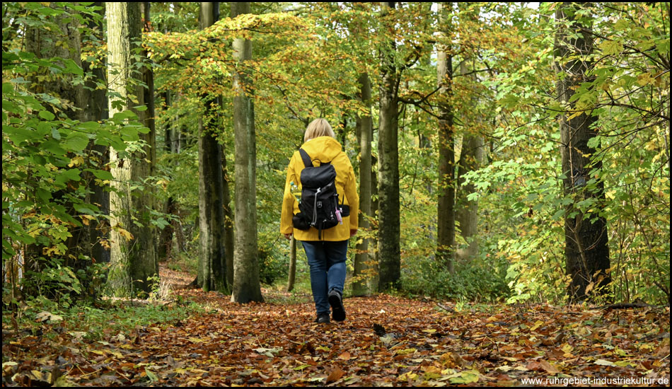 Wanderung auf dem Geopfad Kaisberg in Herdecke und Hagen