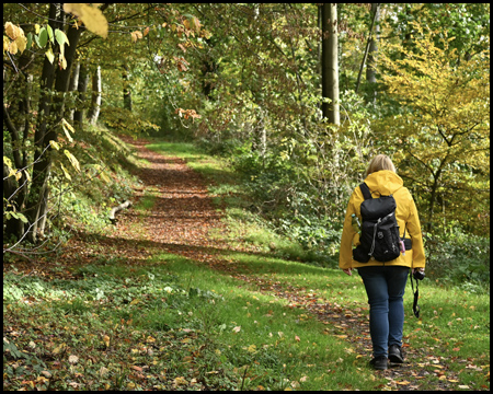 Eine Wanderin im herbstlichen Wald am Kaisberg