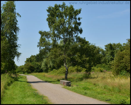 Gleispark Frintrop mit Sitzgelegenheit unterm Baum