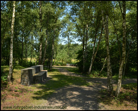 Birkenwäldchen mit Mauern als Rastplatz