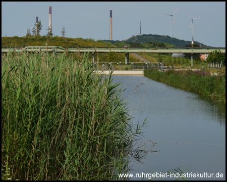 Blick über den See zur Halde und den kleinen Aussichtshügel