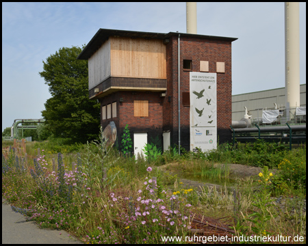 Altes Stellwerk: Das Artenschutzhaus