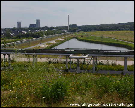 Blick vom Aussichtshügel auf den See