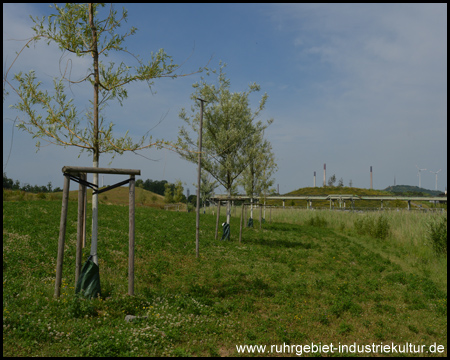 Glückaufpark Hassel