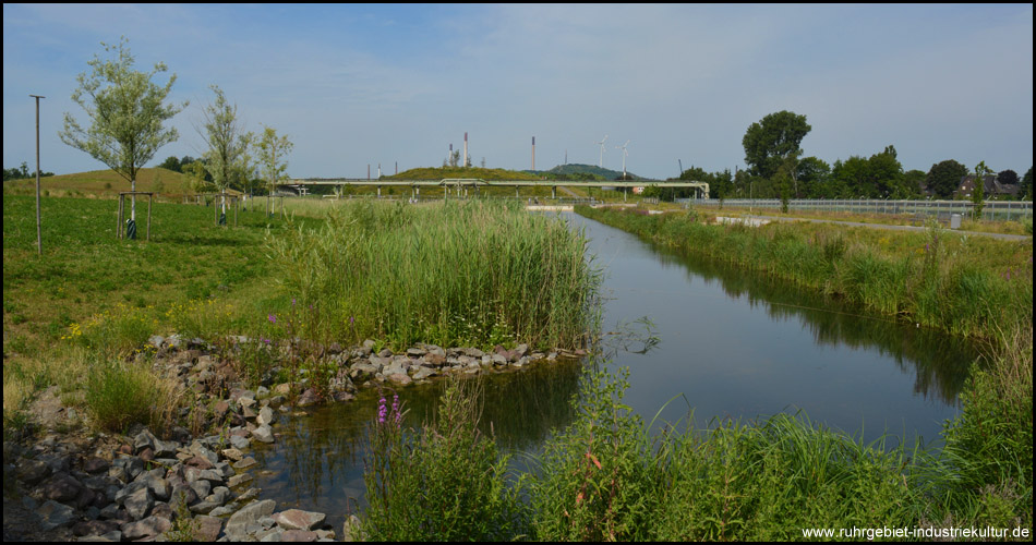 Im Herzen des Parks liegt ein kleiner See. Am Horizont erhebt sich die Halde Oberscholven