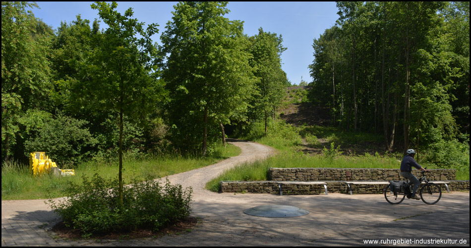 Aufstieg auf die Halde Viktoria III / IV vom Radweg an der Gneisenau-Trasse aus