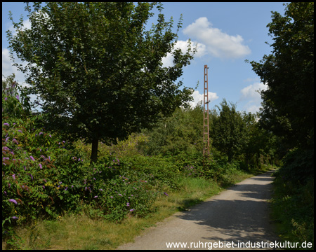 Gittermasten der alten Oberleitung am Wegesrand