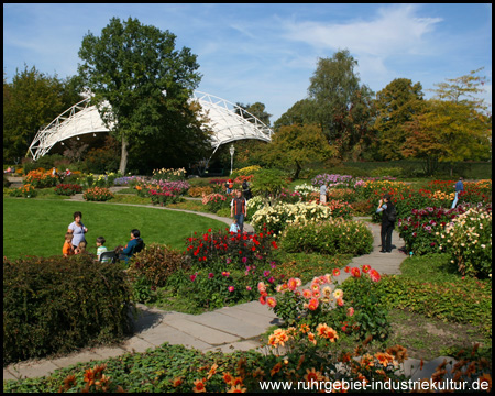 Die farbenfrohen Sommerblumen finden großen Anklang