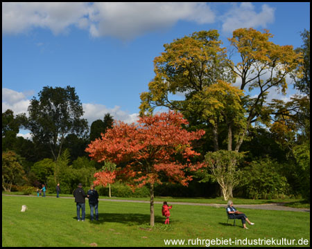 Herbstlich gefärbte Bäume im Grugapark
