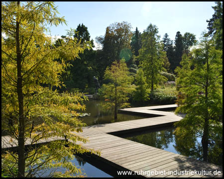 Waldsee mit sumpfigen Bäumen und Steg