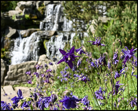 Wasserfall mit Glockenblumen