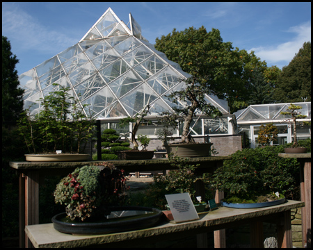 Tropen- und Sukkulentenhaus und japanischer Bonsaigarten