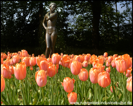 Tulpen im Grugapark Essen