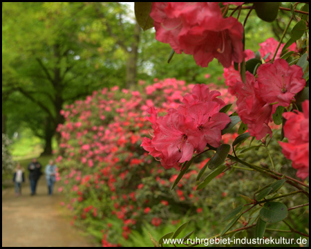 Grugapark in Essen