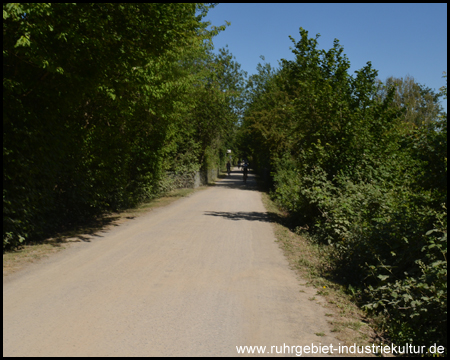 Schnurgerader Radweg in Mülheim an der Ruhr (Blick zurück)