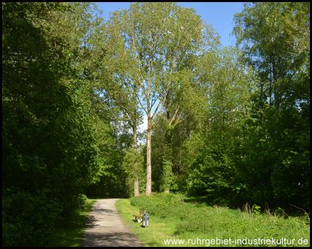 Rad- und Wanderweg begleitet die Teiche