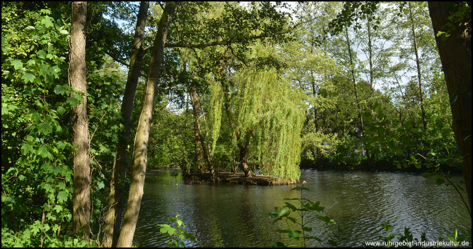 Der Tipulusteich mit seiner kleinen Insel in der Mitte