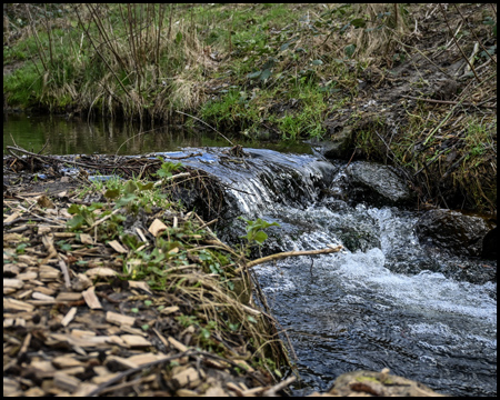 Bach mit einem Mini-Wasserfall