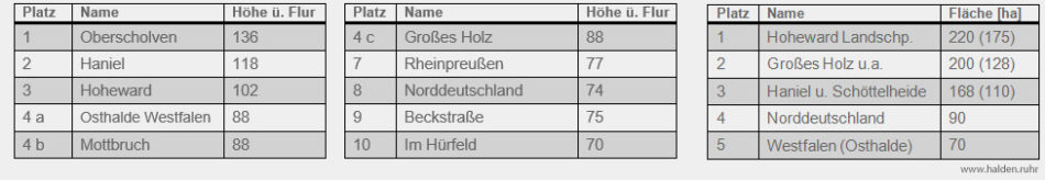 Tabelle über Haldenhöhe und Grundfläche