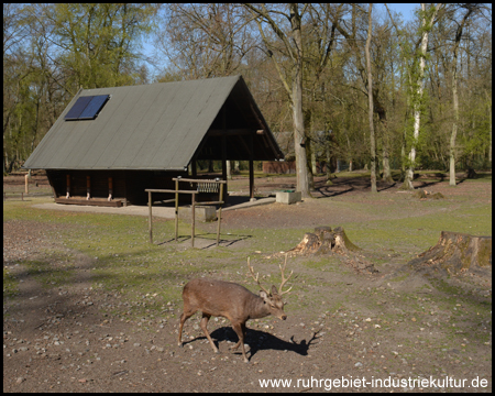 Wildgehege Grutholz in Castrop-Rauxel Ruhrgebiet