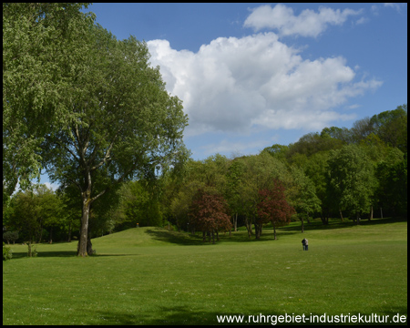 Weite Wiesenflächen im Gysenbergpark