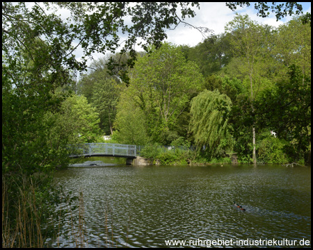 Auch im Gysenbergpark gibt es ein kleines Gewässer