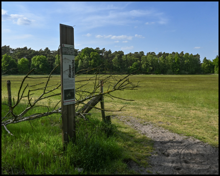 Ein Weg führt über eine weite Wiesenfläche. Holz-Stele mit Informationen am Wegesrand