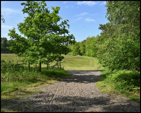 Sandweg am Waldrand