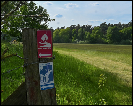 Wegmarkierung an einem Holzpfosten: Hohe-Mark-Steig und Katenkreuz-Weg