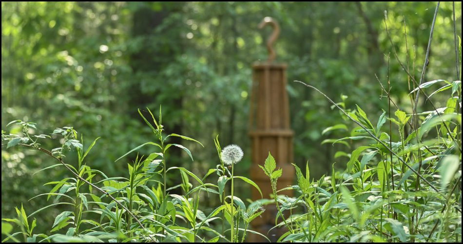 Kräuter wie Pusteblumen im Vordergrund, dahinter unscharf Holzskulptur in Form einer Grubenlampe