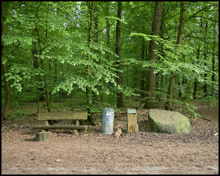 Findling neben einer Bank und einem Mülleimer im Wald