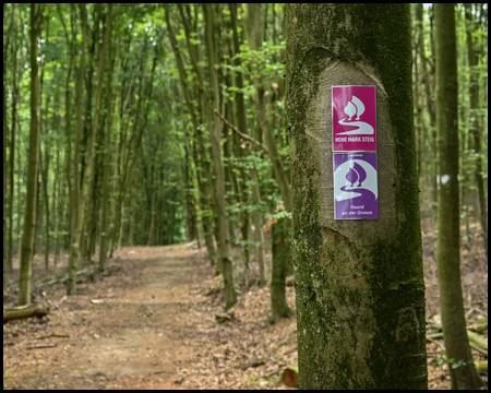 Waldweg mit Wegepiktogramm