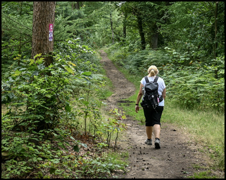 Frau auf Waldweg unterwegs