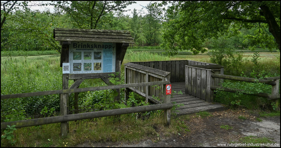 Informationstafel und hölzerner Aussichtspunkt am Brinksknapp, einem Biotop und kleinem See