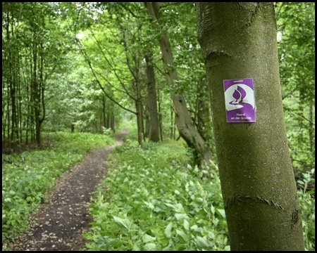 Waldweg mit Wegepiktogramm