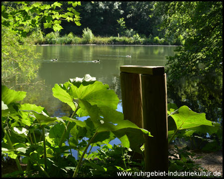 Ein Rundweg führt um den Teich