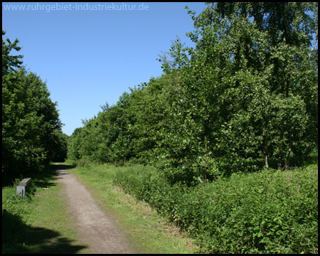 Bank am Weg um die Bergehalde