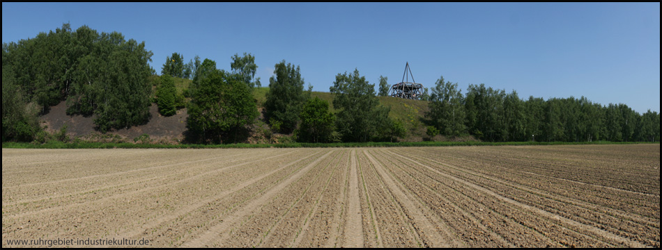 Blick auf die langgestreckte Halde Brockenscheidt und den Spurwerkturm vom Feld aus