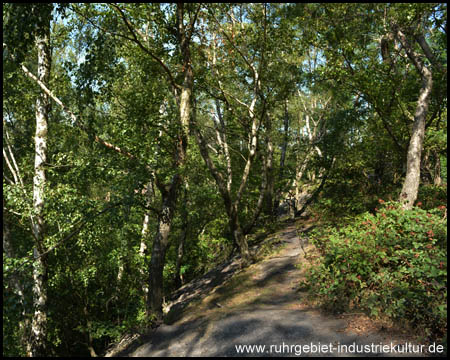 Böschungskante auf dem Haldenplateau