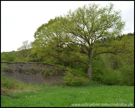 Abbruchkanten an der Haldenböschung