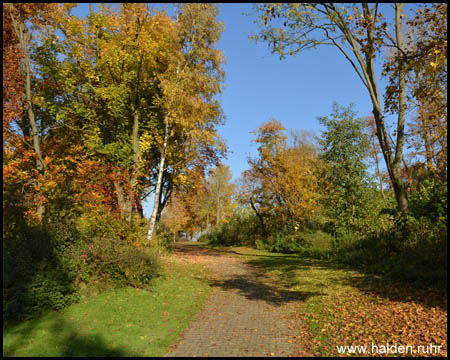 Halde Centrum