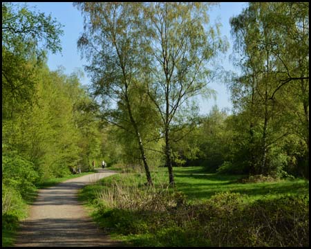 Naturschutzgebiet Park Constantin in Herne