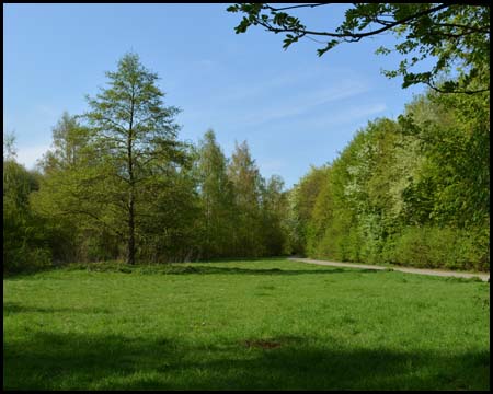 Ruhr-grün: Grünzug an der Stadtgrenze zu Bochum