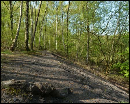 Böschung zum Park von oben gesehen