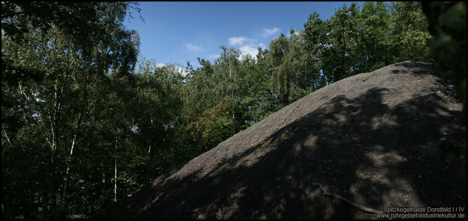 Kulturdenkmal Spitzkegelhalde in schönster Ausprägung sichtbar mit Vegetation und erodierten, steilen Hängen